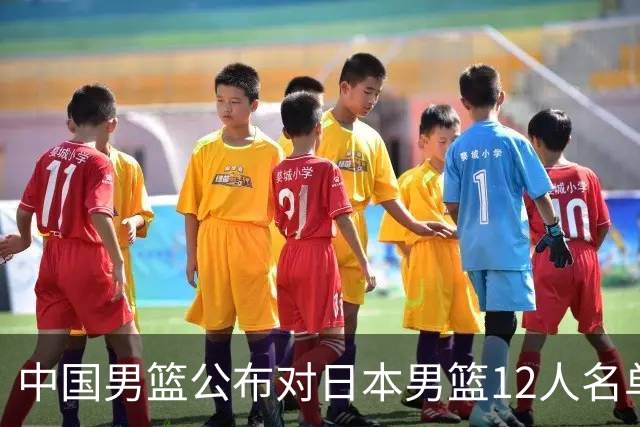 中国男篮公布对日本男篮12人名单，杨瀚森、徐昕等在列
